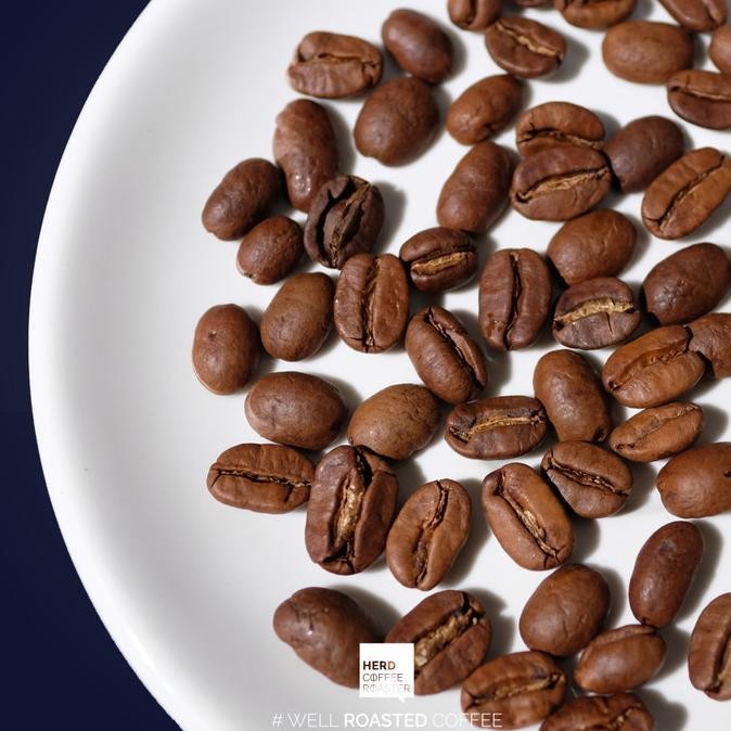 

Gayo Black Wine Single Origin Manual Brew Filter 150Gr Coffee