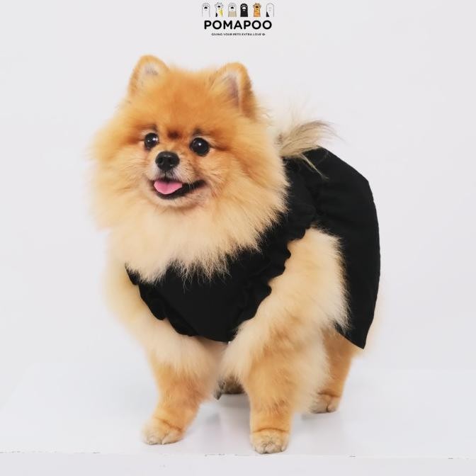 POMAPOO - Baju Kucing dan Baju Anjing Seoul Dress