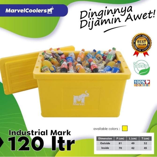 CO Cooler Box 120 L Liter Es Ice pendingin minuman cool Seafood kotak