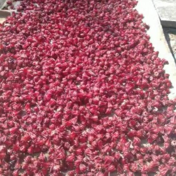 

Bunga rosella kering 1kg siap seduh rosela super rosella merah Original