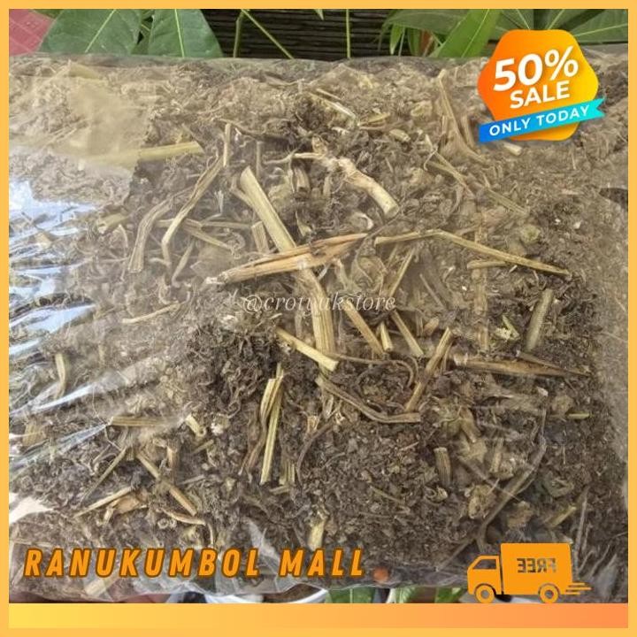 

CEPLUKAN KERING CIPLUKAN KERING 500GR RANU KUMBOL MALL GRATIS ONGKIR!!