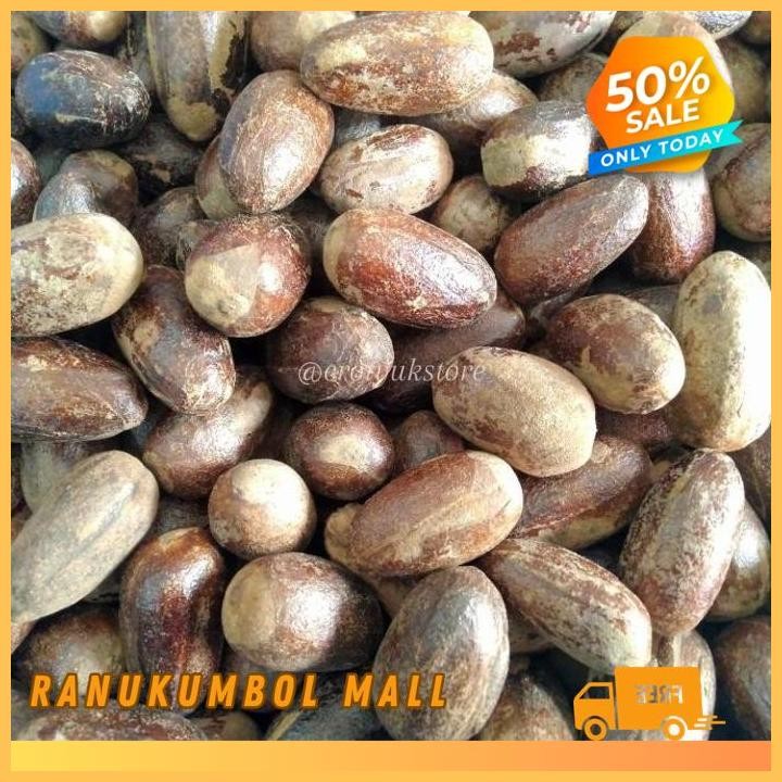 

UTUH 500GR BIJI PALA LONJONG KERING BIJI PALA KERING RANU KUMBOL MALL DIJAMIN GRATIS ONGKIR!!