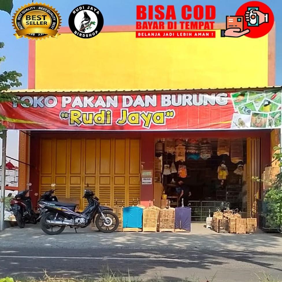 wwr-76 PION MURAI FIBER EBOD JAYA PUTIH POLOS FIBER UNTUK SANGKAR KANDANG BULAT MURAI BATU MB ANIS M