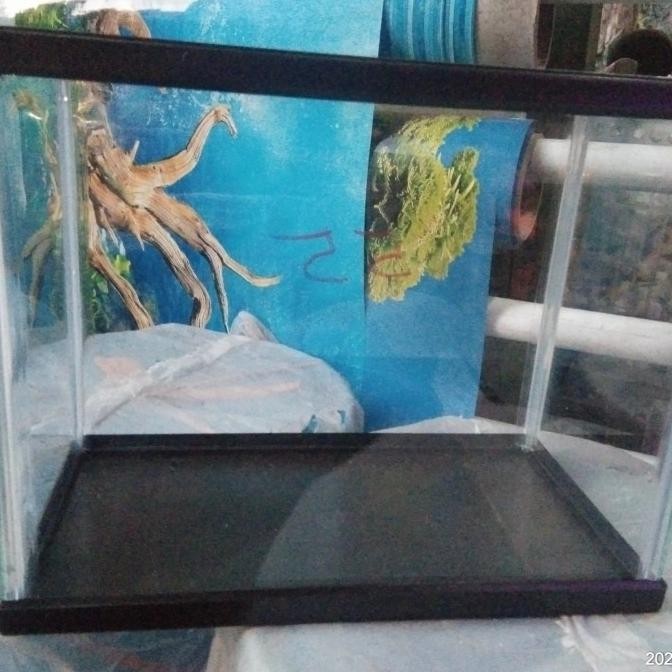 aquarium akrilik mini