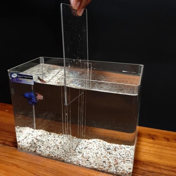 BUYSOF AQUARIUM AKRILIK SEKAT 20x10x15 2mm SOLITER MINI CUPANG BETTA