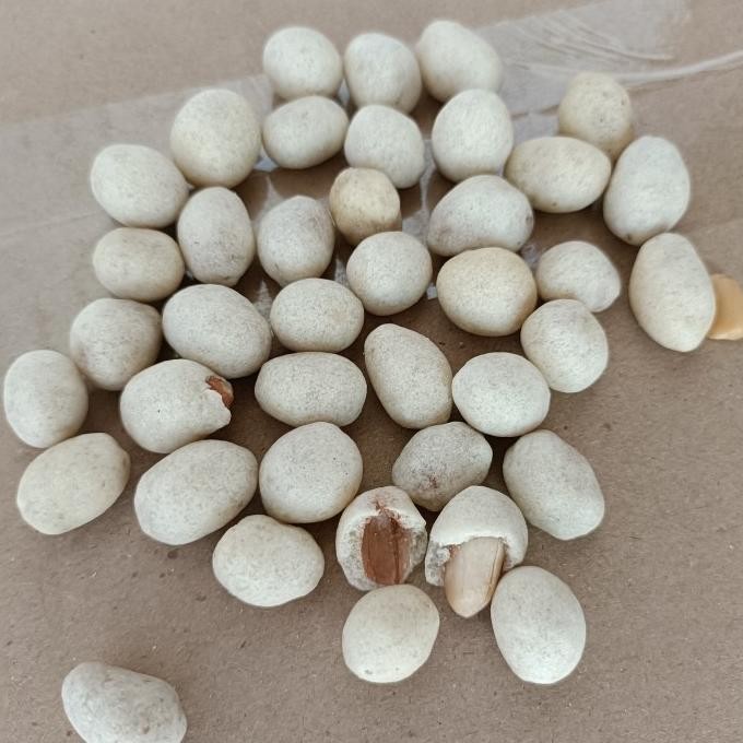 

(Good) Kacang shanghai OKE 200 gram