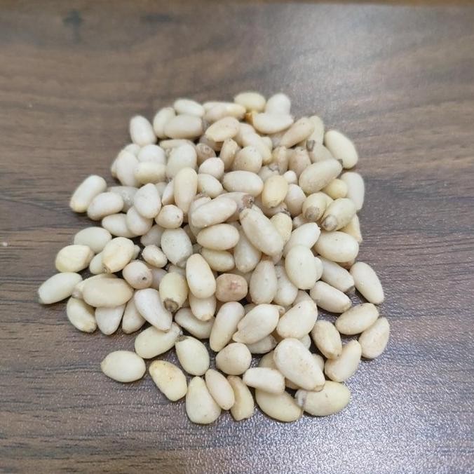 

(Good) Pine Nut 100g - Kacang Pinus / Siberia Kernel ( Mentah )