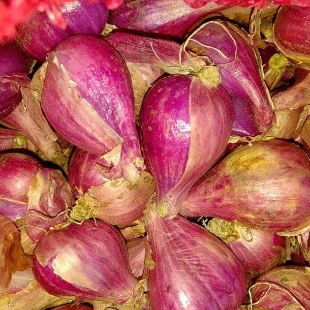 

bawang brebes super 1kg murah