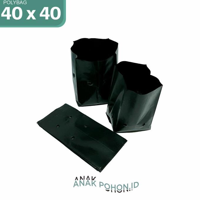 Polybag Polibag Plastik Ukuran 40 x 40 cm murah