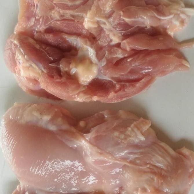 

(Good) fillet paha ayam boneless paha segar