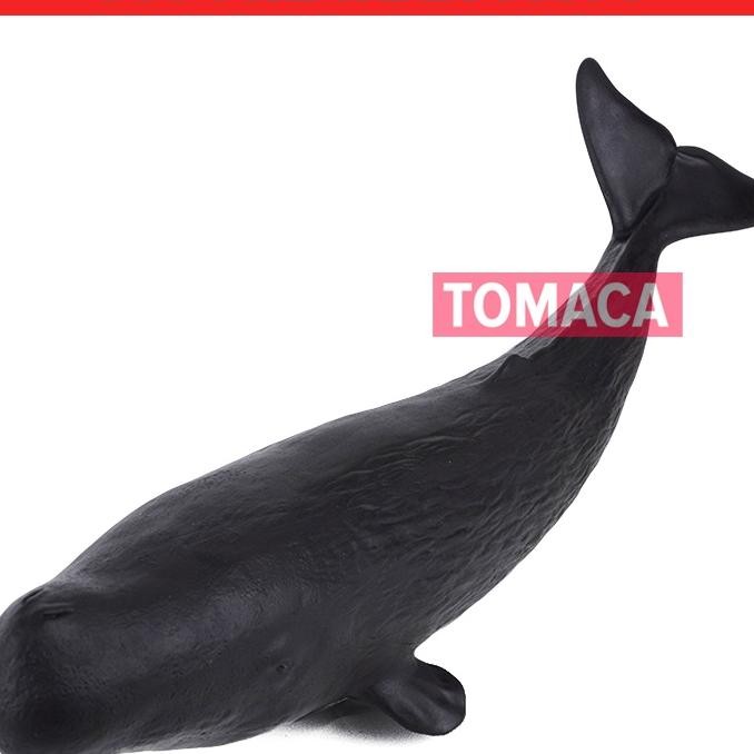 Action Fure Perm Whale Niatur Ian Pau Mainan Eduai Vinyl Animal Furine Toy