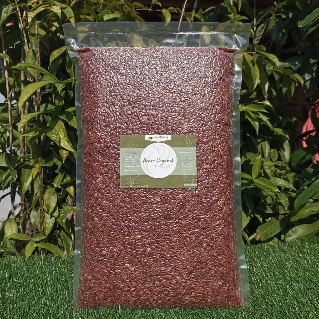 

Beras Merah Organik Premium Fresh Langsung Dari Petani | 5Kg Vacuum Termurah Best Quality Asli 100% Original