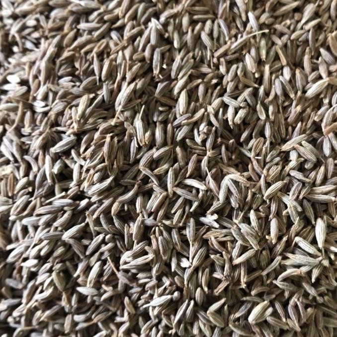 

Jintan India / Cumin Seed 1 Kg murah