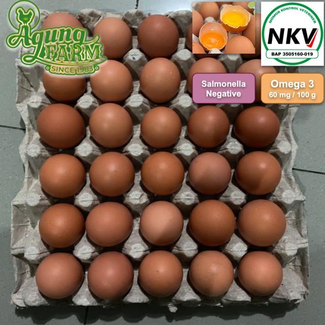 

Gd-324 Telur Ayam Negri Negeri Per 1 Papan 30 Butir Segar Dari Kandang Nkv
