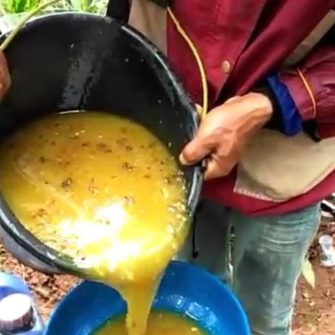 

Sale Madu Kaliandra Asli Murni 1Kg Honey Alami