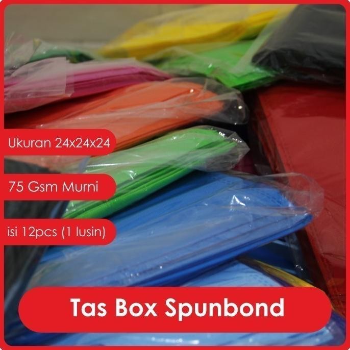 [Good] Tas Hajatan Nasi Kotak Spunbond / Tas Box Nasi Warna Merah 24x24x24cm