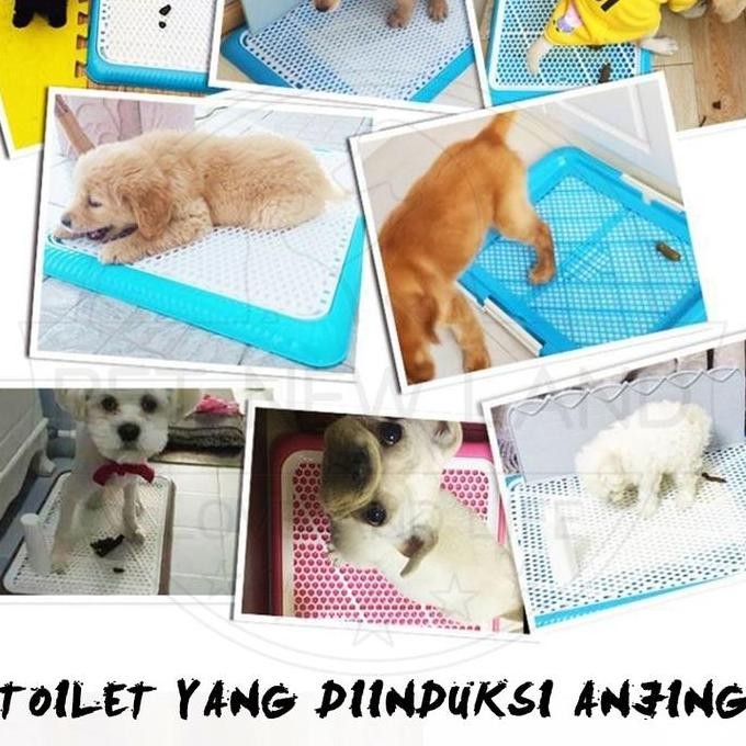 Grosir Pet Toilet Anjing Dog Training Potty Pad Pee Poop Training Pad Tray