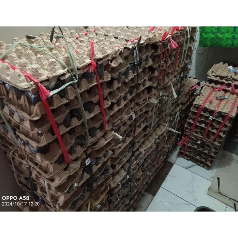 

Ow42 Telur Asin Fresh Premium Isi 10 Butir