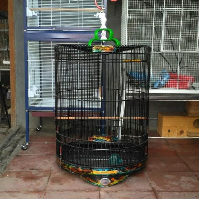 Kandang burung murai EBOD JAYA INDONESIA NO 1 FULL SET