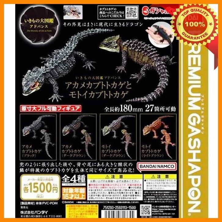 [CEN] PREMIUM GASHAPON RED EYE LIZARD CROCODILE SKINK KADAL DANGOMUSHI GACHA