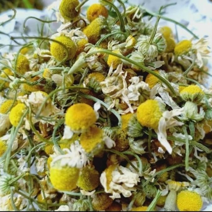 

Grosir Teh Bunga Camomile / Chamomile Flower Tea 100Gram