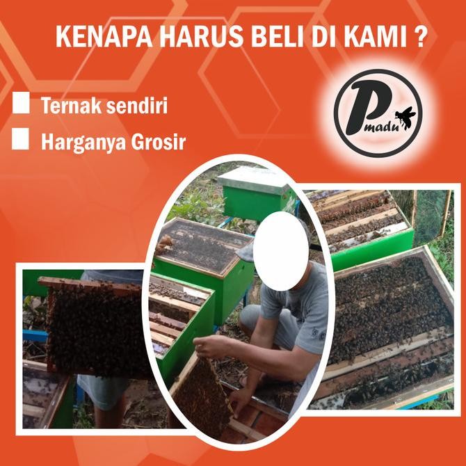 

[Row Honey] Madu Kaliandra Murni Original Dan Terlaris