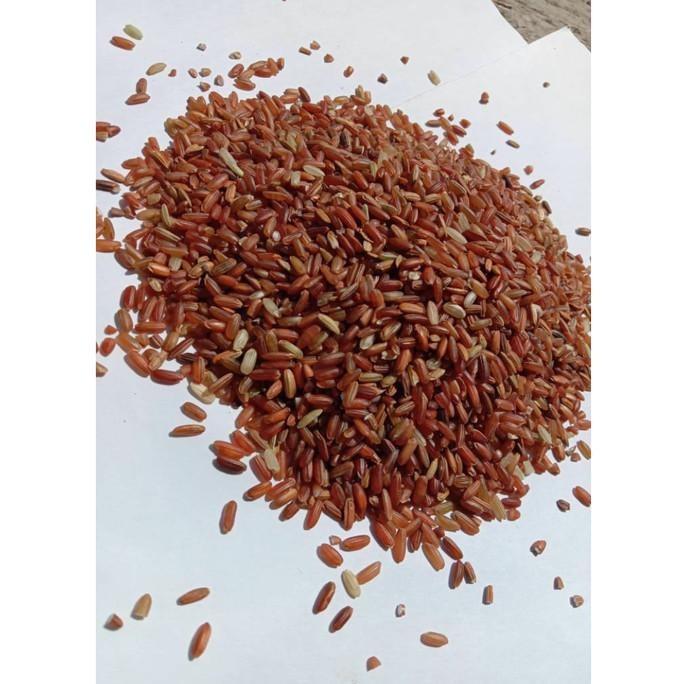 

Beras Merah Organik Aman dan Sehat nUg