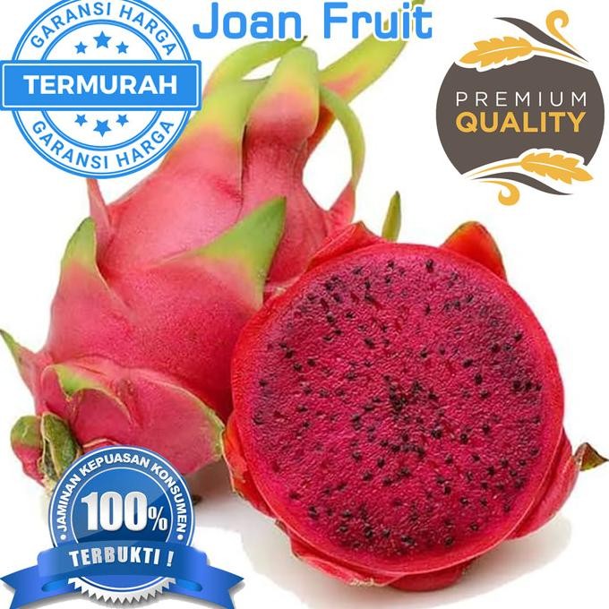 

TERMURAH 1 kg Buah Naga Merah Jumbo Manis TERMURAH SEDUNIA nUg