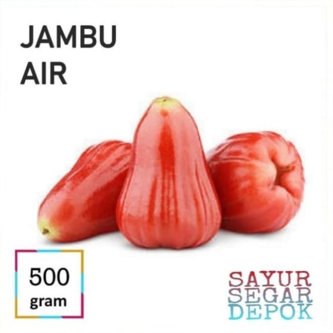 

BUAH JAMBU AIR-BAHAN RUJAK nUg