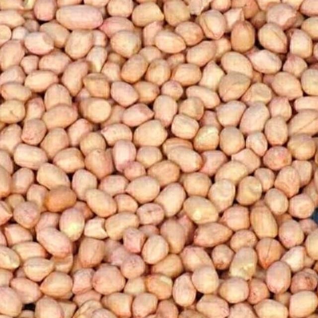 

Kacang Tanah Mentah 1kg nUg