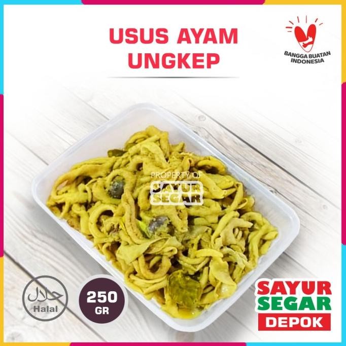 

USUS AYAM UNGKEP BUMBU KUNING [250g] nUg