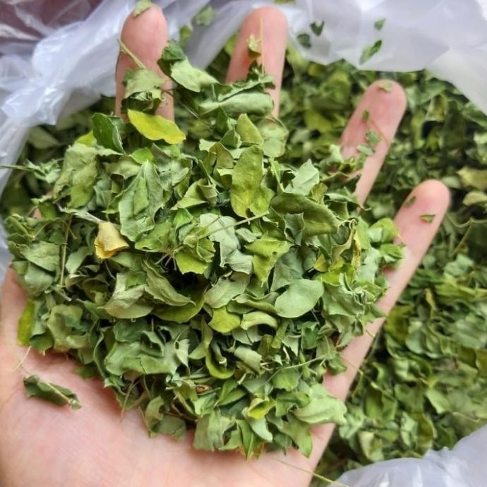 

DAUN KELOR 500 GRAM KERING PREMIUM / DAUN MORINGA nUg