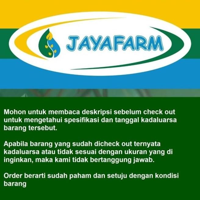 Benih Bibit Tanaman Sayur Selada Batavia Caipira Indo Seed 1 Gram -