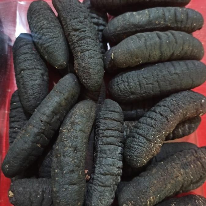 

Promo Teripang Kering/ Haisom Kering/Gosok/Belitung Size 40Ekor Dalam 500Gr