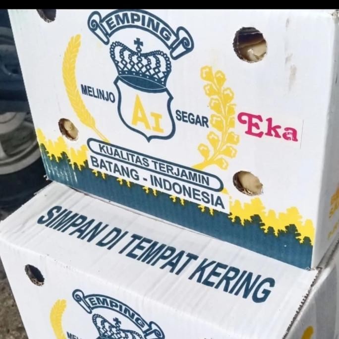 

Murah Emping Melinjo Mentah 1 Kilogram