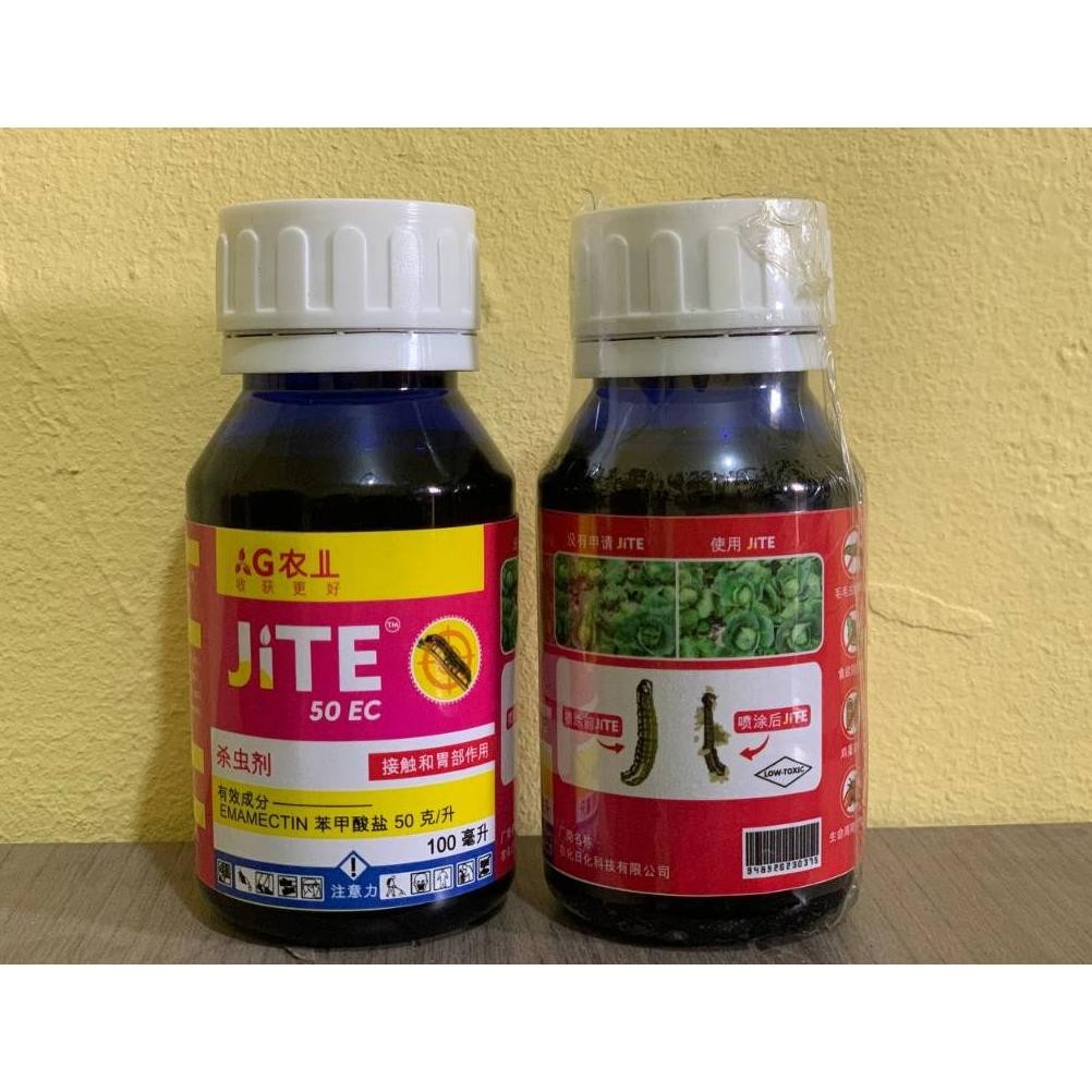 Jite Insektisida Pembasmi Hama Ulat Grayak  Dalam Buah Sayur Batang