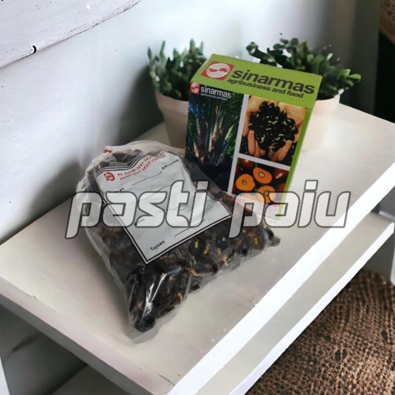 Bibit Sawit Unggul Dami Mas berkualitas