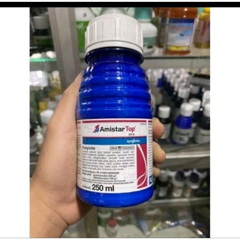 Amistartop 250ml Fungisida Sistemik Azoksistrobin Difenokonazol