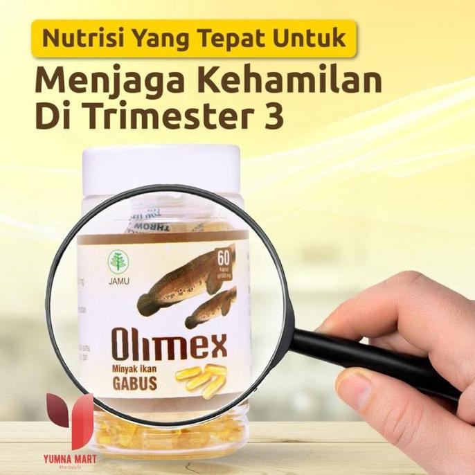 OLIMEX Minyak Ikan Gabus Original 60 Kapsul kapsul ikan gabus  ori
