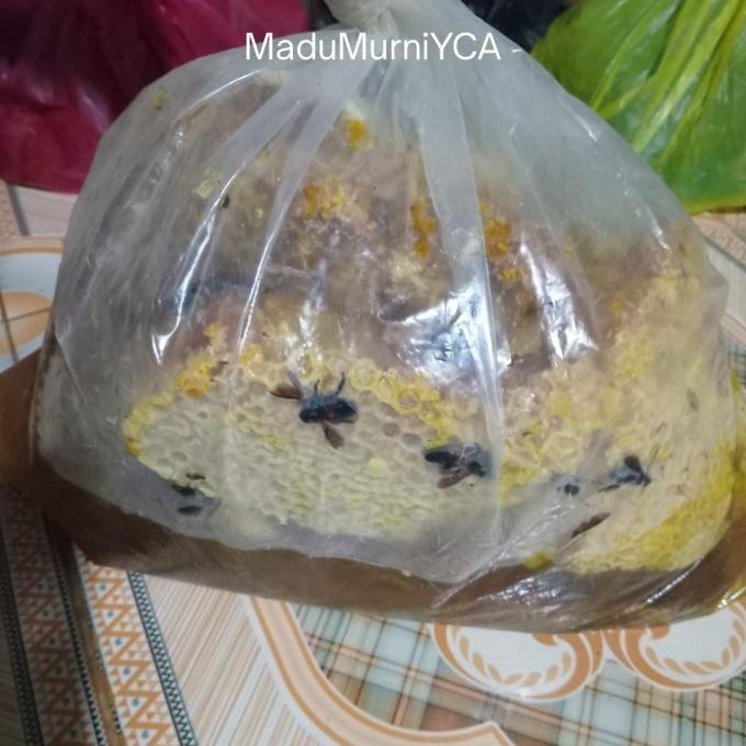 

Madu Asli Sumbawa 1Kg Promo