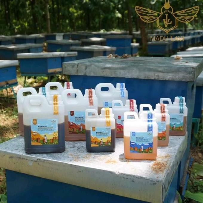 

Madu Lavi Nektar Bunga Randu 500 Gram Terbaru