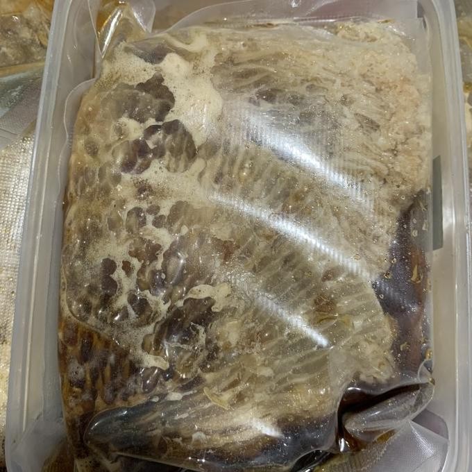 

Madu Sarang Hutan Sialang Terbaru