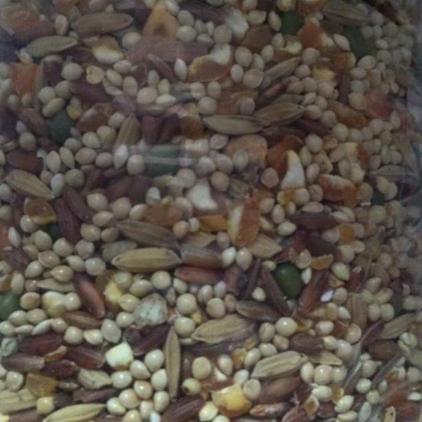 Jagung Campur Komplit 500Gr - Pakan Derkuku Tekukur Pelung Puter