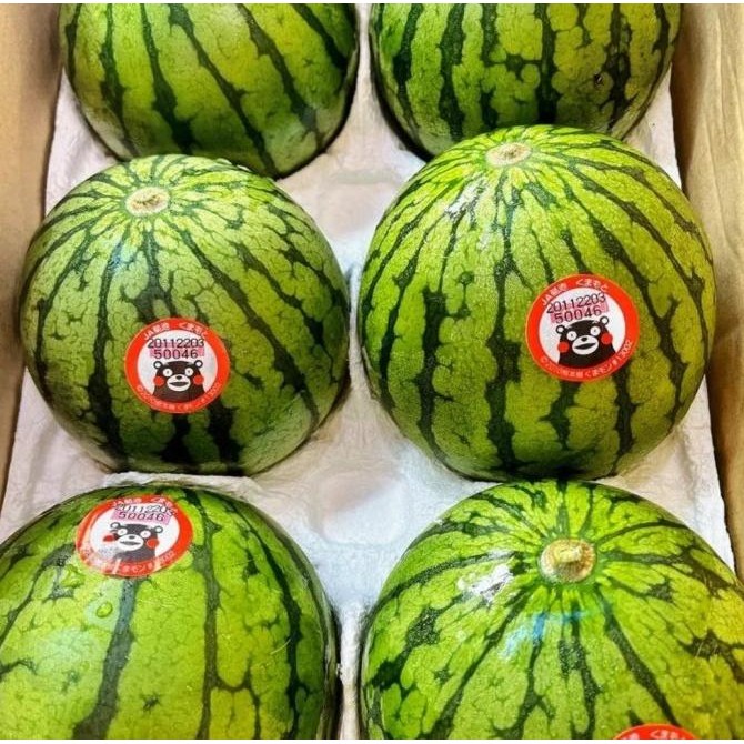 

Promo Semangka Kumamoto Kodama Mini Watermelon Japanese Per Pcs Fresh Import