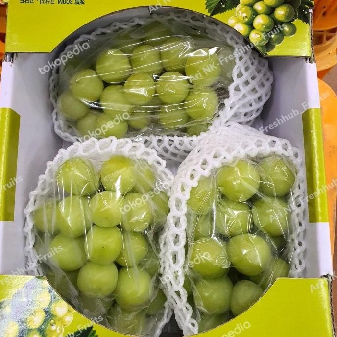 

Sale Anggur Shine Muscat Premium Korea Fresh Import 1 Box