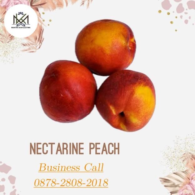 

Sale Nectarine Peach