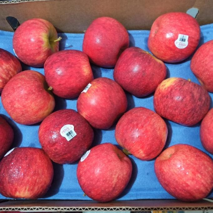 

Sale Apel Envy New Zealand Jumbo Grade 1 (10)Kg Fresh Import