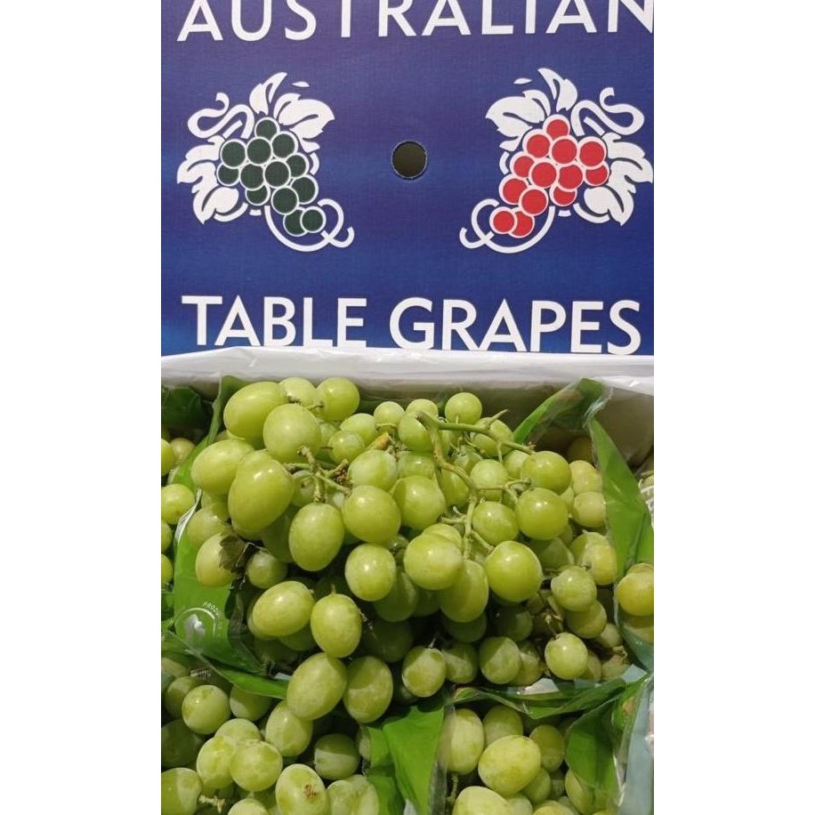 

Sale Anggur Hijau Autumn Crispy Australia 1 Dus (10 Kg) Fresh Import