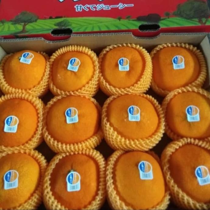 

Grosir Buah Jeruk Aiyuan Fresh Manis Per 1 Dus -+ 3 Kg