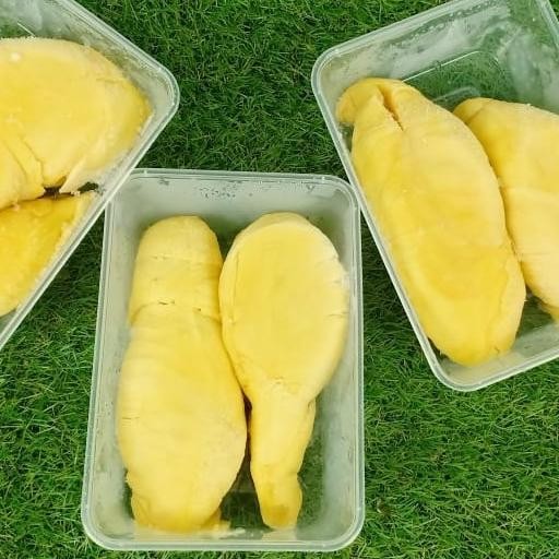 

Promo Buah Durian Montong Palu Fresh Manis Frozen Per 500 Gram